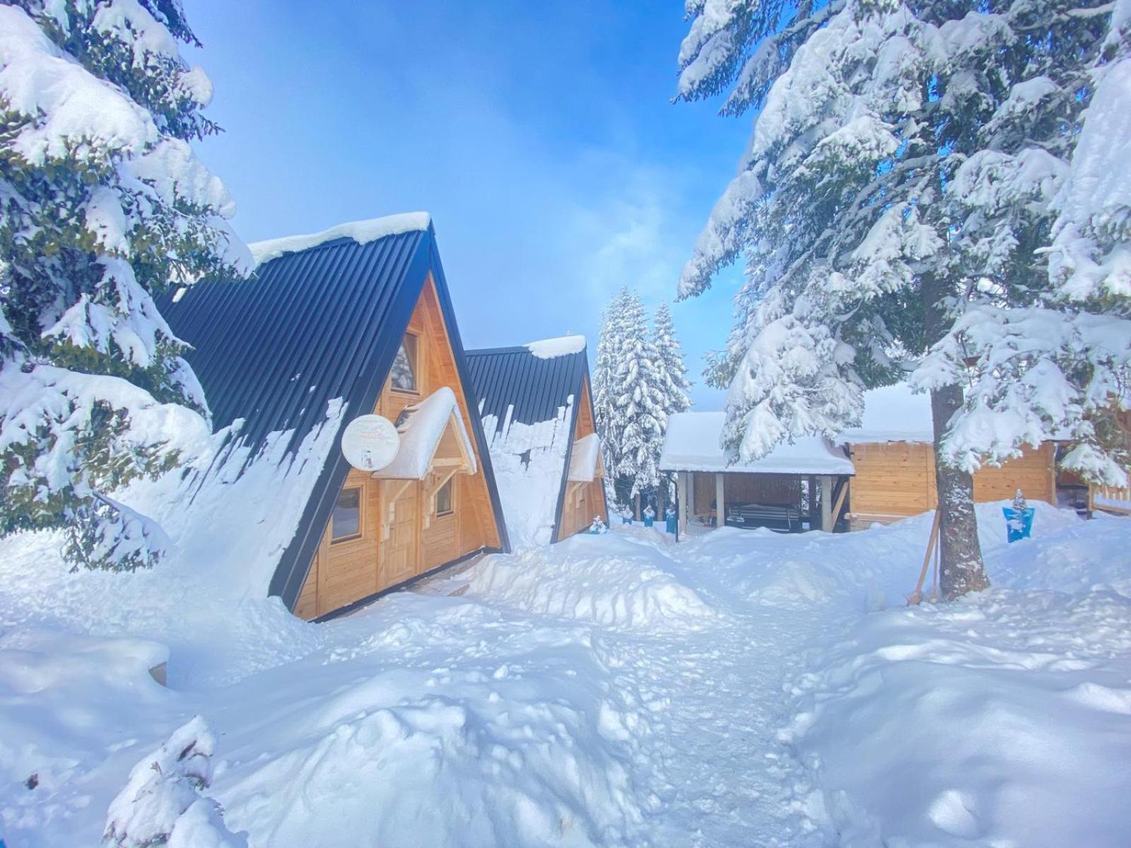 Nova Varoš Zlatarska Idilaヴィラ エクステリア 写真